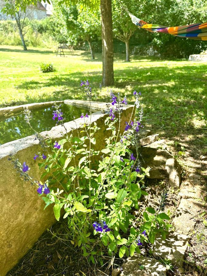 Vila Maison Fermontes Cazillac Exteriér fotografie